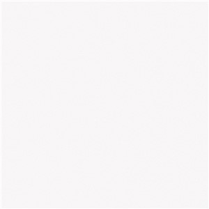 NB16785 NEWCASTLE WHITE PORCELAIN WALL AND FLOOR TILE 250X250